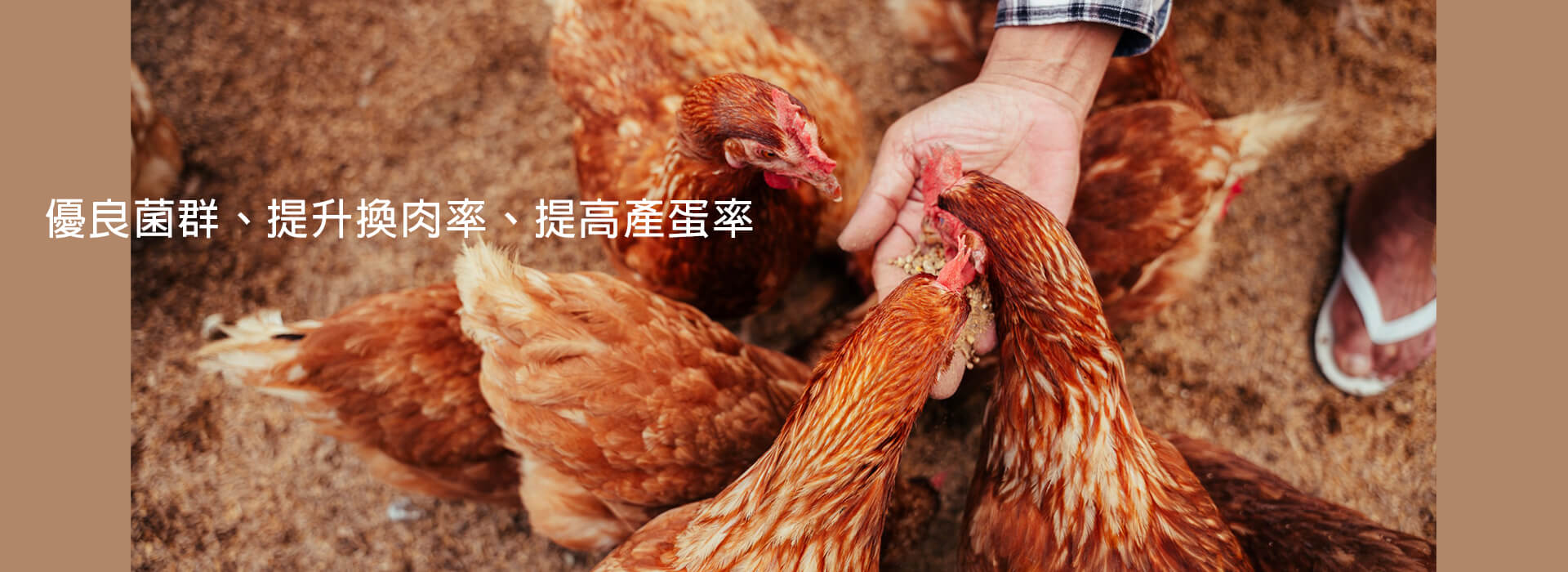 水產飼料 - 升福生技