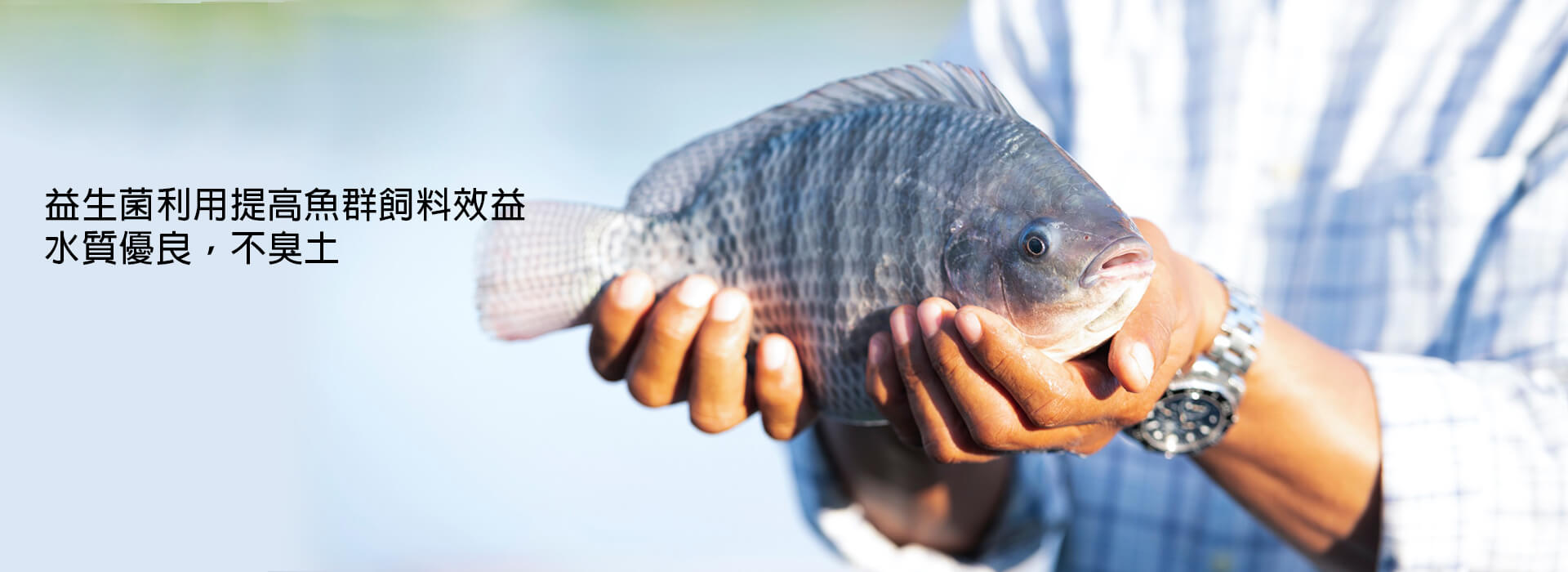 水產飼料推薦 - 升福生技